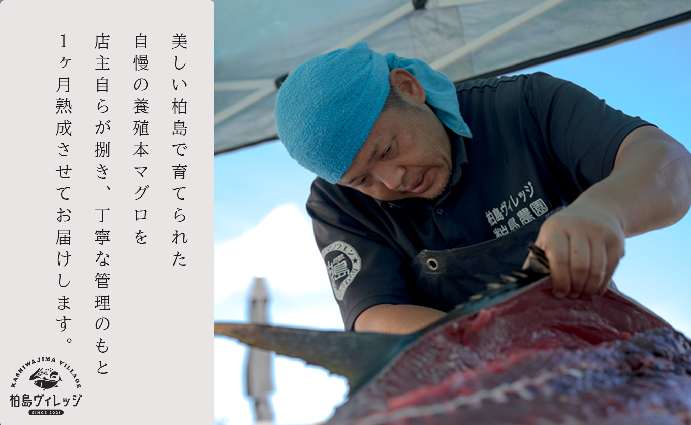 熟成 生 本マグロ 大トロ 200g 冷蔵 刺身用 国産 高知県産 養殖 高級 海鮮 お正月用｜熟成本まぐろ 鮪 まぐろ ギフト お取り寄せ 希少 贈答 グルメ おせち お歳暮 年末年始 ごちそう お