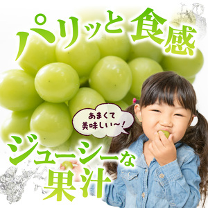 〈2025年度配送分〉シャインマスカット2房（約1.0kg） シャインマスカット 山梨 県産 先行予約 2025年 ぶどう フルーツ 2房 冷蔵 生産量 日本一 甲府 市産 1.0kg以上 フルーツ王