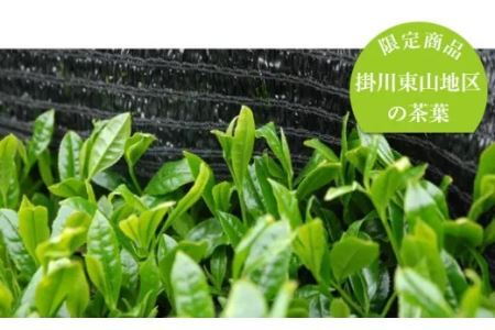 日本茶AWARD2021審査員奨励賞受賞！世界農業遺産認定！茶草場農法の掛川かぶせ茶　大井製茶 （ 深蒸し茶 掛川市 掛川茶 静岡 掛川市 かぶせ たっぷり 小分け 深蒸し掛川茶 ) 1923