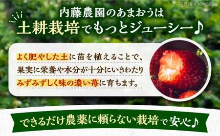 【先行予約】【1月発送】農家直送 あまおう 1080g (270g以上 × 4パック) 土耕栽培《豊前市》【内藤農園】 [VAB004] 果物 いちご フルーツ