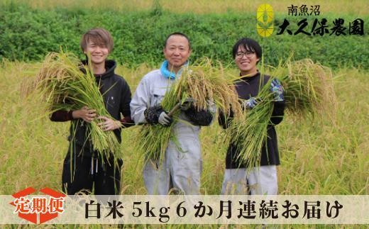 
                  【令和8年産新米予約】【６ヶ月定期便】南魚沼産コシヒカリ　特別栽培米　八富米　　白米５ｋｇ×全6回　【2026年10月中旬から1ヶ月以内に順次発送予定】
                