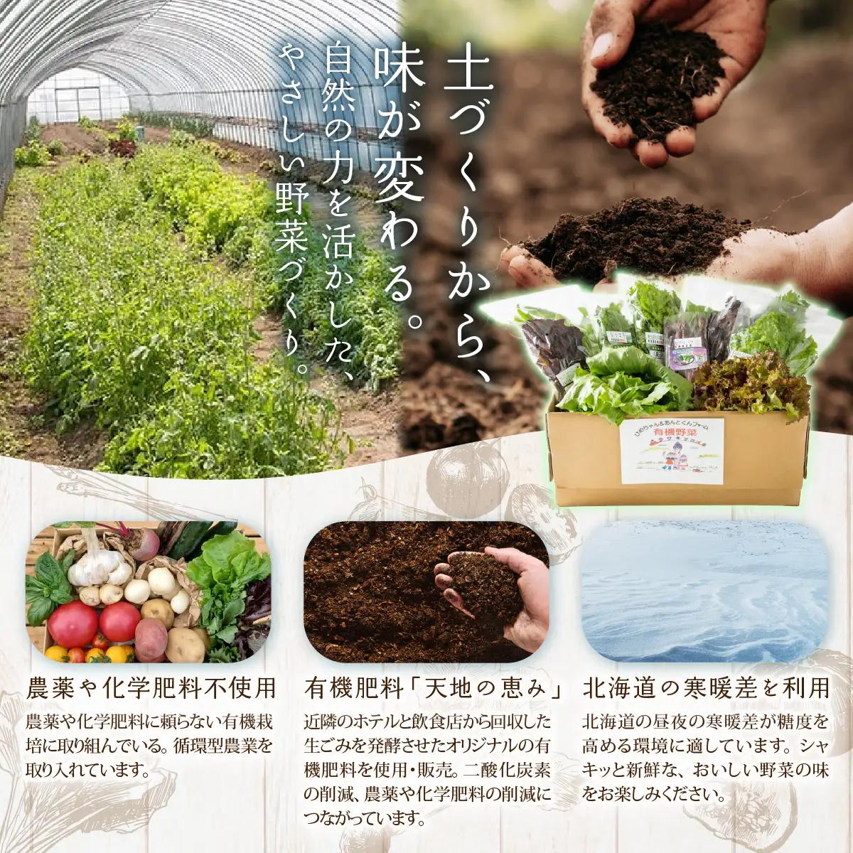 有機箱館北斗紫アスパラ姫 1kg 3L～4L HOKB006