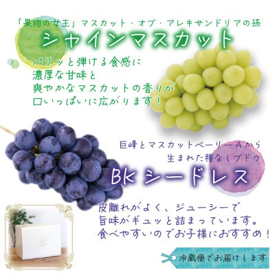 【2026年先行受付】岡山　花笑み農園『シャインマスカット＆BKシードレス』1kg(2房)BS-1【配送不可地域：離島・北海道・沖縄県】
