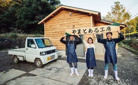 鹿肉セット 京都ジビエ ソーセージ ステーキ 鹿肉セット