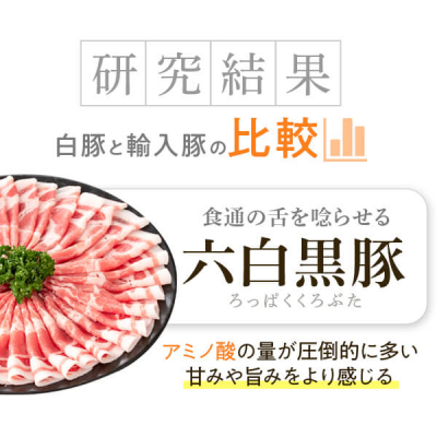 【B02079】ふるさと黒豚セットＢ_イメージ3