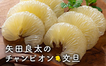 矢田良太のチャンピオン文旦5kg【家庭用】