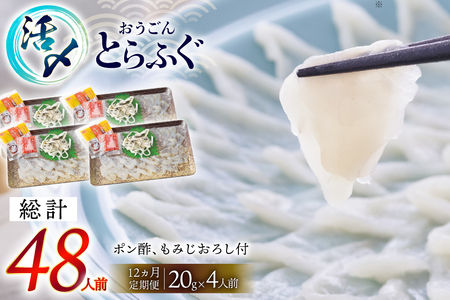 ふぐ 刺身 セット 活〆 おうごんとらふぐ 刺身セット 4人前 12回 定期便 [松永水産 長崎県 平戸市 hr42bgy400166]