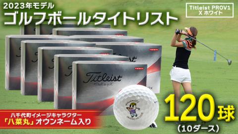 【 2023年9月30日まで 】 ゴルフボール タイトリスト PROV1X ホワイト 10ダース ( 120球 ) 八菜丸 プロV1x Titleist ゴルフ ボール [BW023ya]