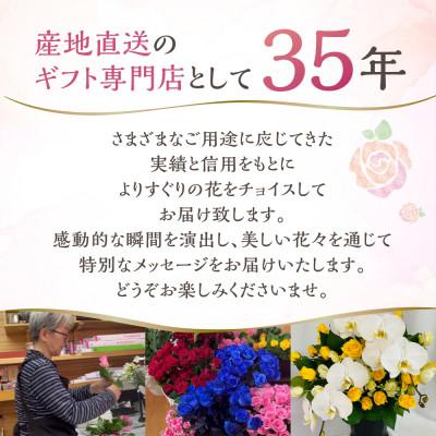 ふるさと納税 田原市 器に盛ったランとバラのアレンジ M　ギフト・プレゼントに最適 愛知県田原市 |  | 03