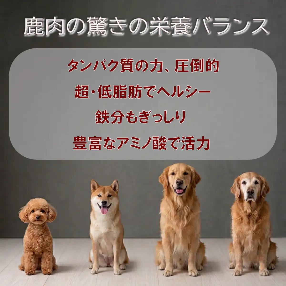 犬用ジャーキー謹製　鹿干肉　モモ50g×2袋