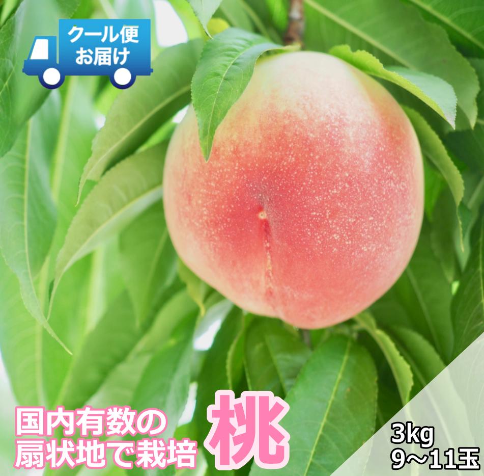 
            【令和7年発送先行予約】 クール便　収穫当日に発送　桃　3㎏　9～11玉 ALPDG013
          