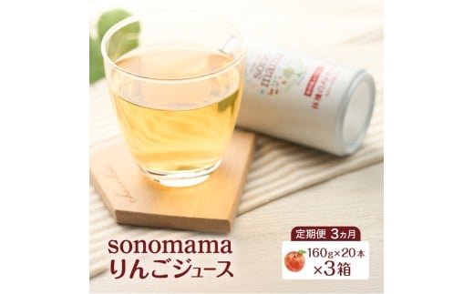 《 定期便 3ヵ月 》 りんごジュース「sonomama」（160g×20本）×3箱 りんご リンゴ ジュース リンゴジュース 飲料