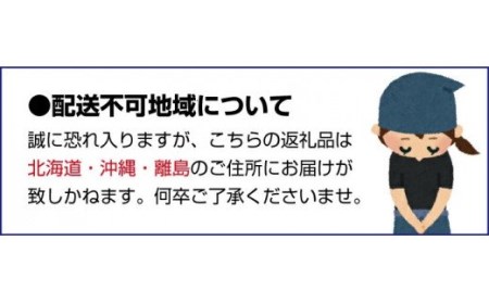 【梅干し・梅酒用】熟南高梅（生梅）3Lサイズ約2kg＜6月中旬から順次発送＞【art008】