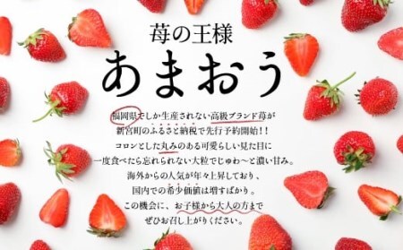 AB380.【訳あり.限定品】博多あまおう.小粒ですが約１２００g（先行受付．２０２７年２月以降発送）