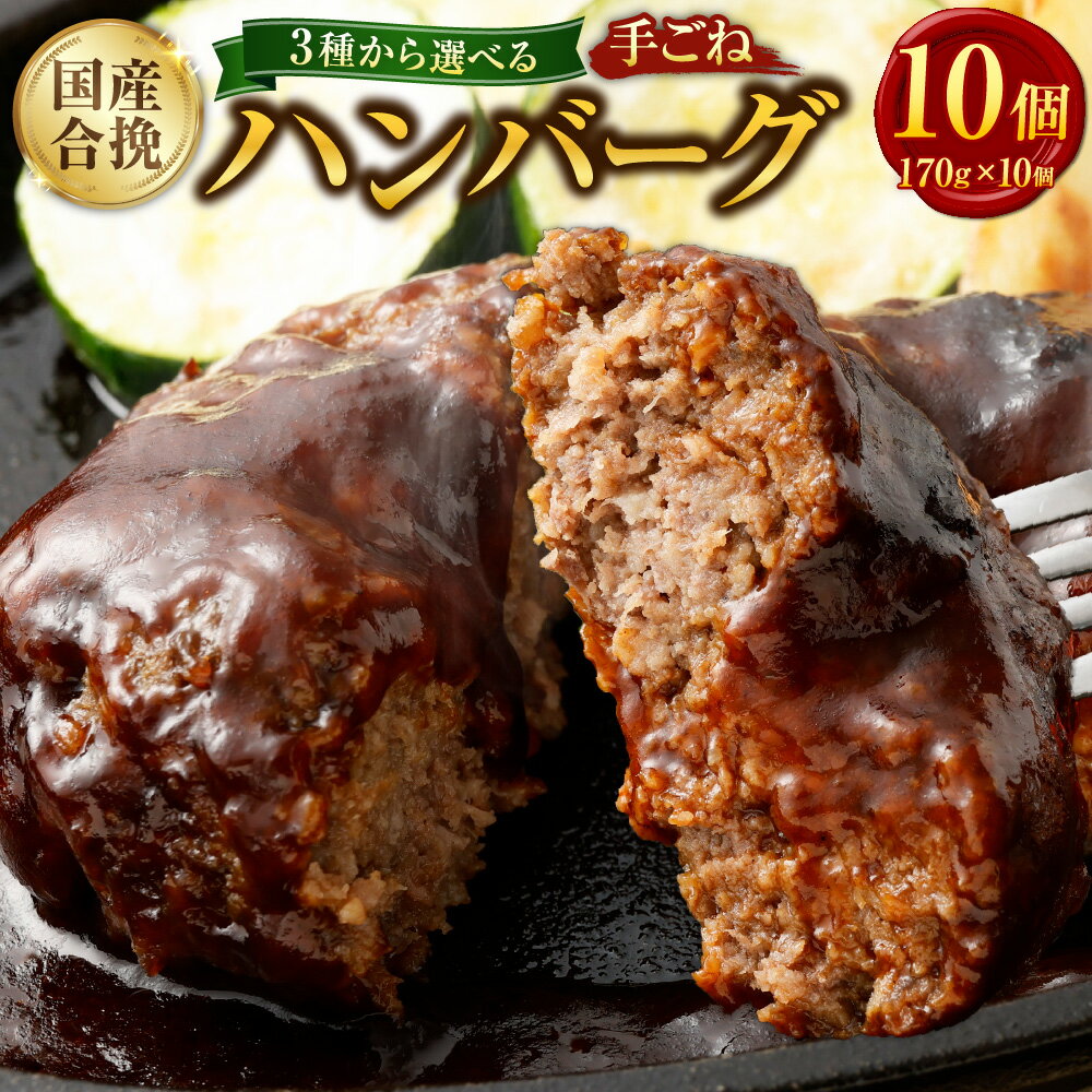 【ふるさと納税】＜選べるソース＞国産 合挽手ごねハンバーグ 計1.7kg（170g×10個） 和風おろしソース / デミグラスソース / ガーリックトマトソース 牛肉 豚肉 お肉 ハンバーグ 惣菜 おかず ご飯のお供 ごはんのお供 冷凍 福岡県 遠賀町 送料無料