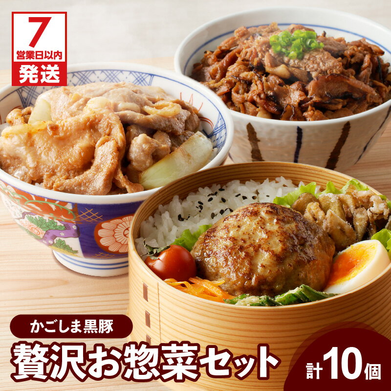 【ふるさと納税】【7営業日以内に発送】 【岩元精肉店】鹿児島県産 贅沢 お惣菜 詰合せ セット A バラエティ かごしま黒豚 黒豚 ハンバーグ 炙り焼き 薄切り 味噌 味噌漬け お肉屋さん おかず お弁当 簡単調理 鹿児島市 おすすめ ランキング プレゼント ギフト 冷凍