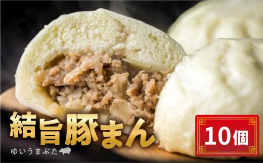 訳あり 結旨豚 豚まん 10個入り 国産豚使用 肉まん 豚まんじゅう ぶたまん 中華まん ゆいうまぶた 簡易包装 白川村 結旨豚 ブランド豚 おやつ 総菜 簡単 10000円 [S967]