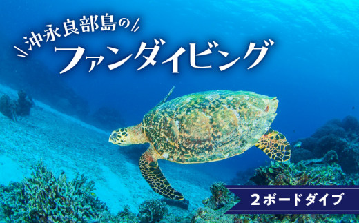 沖永良部島のファンダイビング 2ボートダイブ　W015-002u