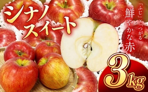 香りも良く食べやすい! 長野県産 シナノスイート 約3kg 秀品 〈2026年10月中旬～11月中旬発送〉| 果物 くだもの フルーツ りんご リンゴ 林檎 長野県 信州 南信州 飯田市