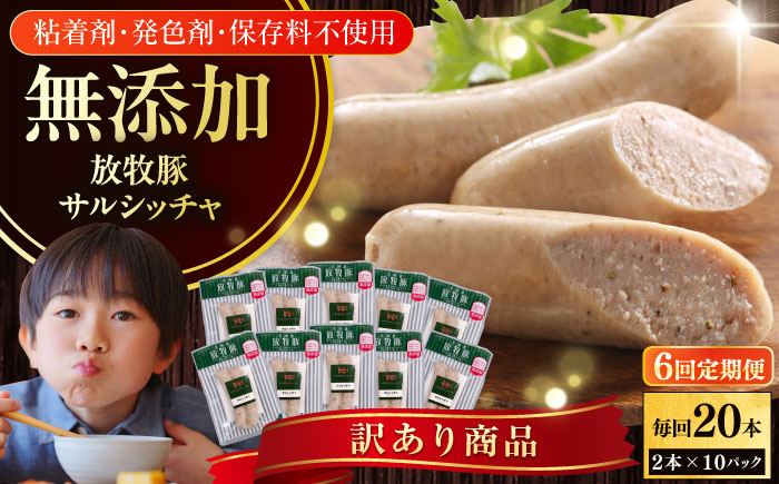 
                  【全6回定期便】【訳あり】【結着剤・発色剤・保存料不使用】 放牧豚 サルシッチャ 2本x10セット（90g/パック） 《厚真町》【ファーマーズファクトリー株式会社】 訳あり ソーセージ ウインナー 無塩せき 冷凍配送 セット 詰め合わせ 北海道[AXBA076]
                