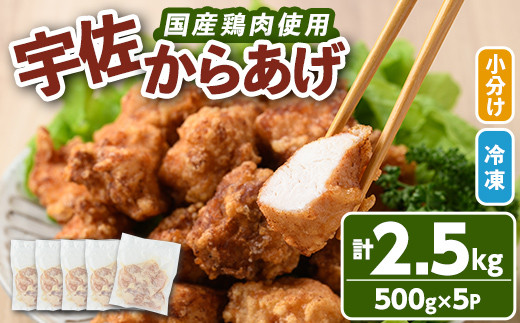 
サクッとジューシー宇佐から揚げセット(計2.5kg・500g×5P)唐揚げ から揚げ 簡単 冷凍 惣菜 お弁当 おかず おつまみ 揚げるだけ セット【102000700】【サンセイ　安心院ソーセージ】
