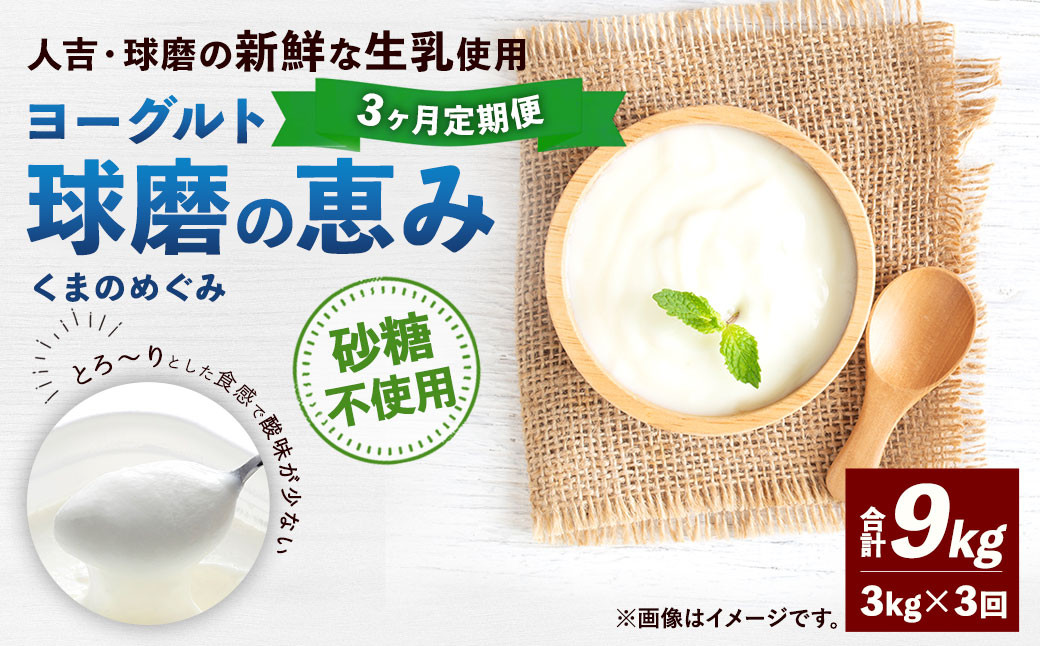 
                  【3ヶ月定期便】 球磨の恵み ヨーグルト (砂糖不使用) 合計 9kg (1kg×3パック)×3回 乳製品 生乳 朝食 おやつ 相良村
                