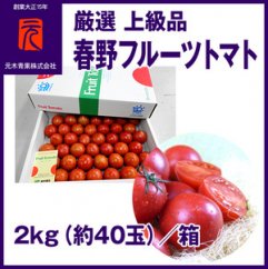 【ふるさと納税】【申込は5月中旬頃まで】まるで宝石！春野フルーツトマト 厳選 上級品 約2kg（約40玉） | 元木青果 ＜2024年2月中旬以降発送＞ /とまと 高知 フルーツ 果物 高知 【グレイジア株式会社】[ATAC346]