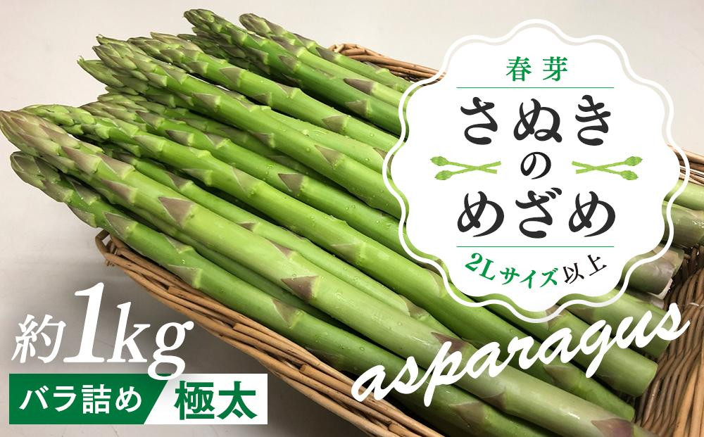 
            【2月中旬頃～発送】さぬきのめざめロング 春芽 1kg 極太 2L以上
          