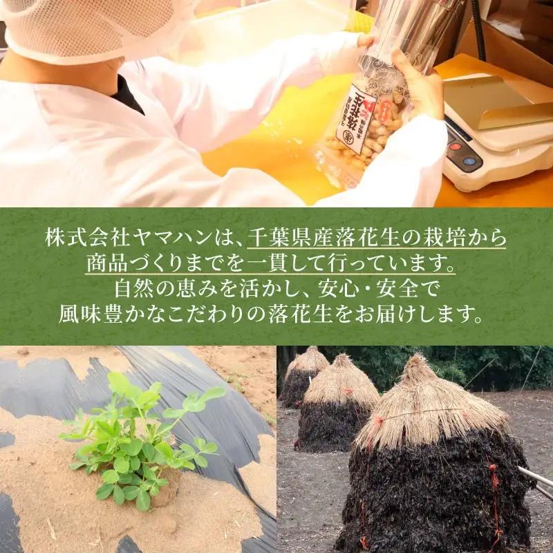 ＼最短7営業日以内発送／ 味付落花生 約 1kg (240g × 4袋) 塩味 ピーナッツ 落花生 薄皮付 ナカテユタカ 【 落花生 】
