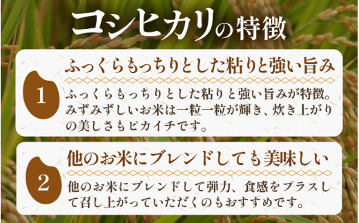 【先行予約】【令和8年産 新米】《定期便》5kg×6回 30kg 特別栽培米 コシヒカリ 低農薬 《食味値85点以上！こだわり極上米》 / 福井県 あわら 北陸 米 お米 人気 高品質 鮮度抜群 新米