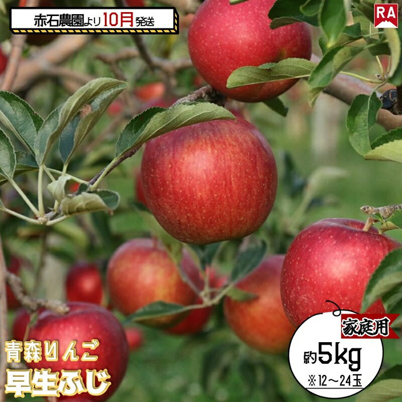 【ふるさと納税】りんご 【 10月発送 】家庭用 早生ふじ 約 5kg 【 弘前市産 青森りんご 果物 フルーツ 食後 デザート 早生りんご ジューシー シャキシャキ 】　お届け：2025年10月2日～2025年10月31日