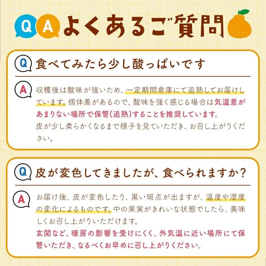 【 先行予約 】【訳あり】ご家庭用 不知火 約 10kg 熊本県産 和水町