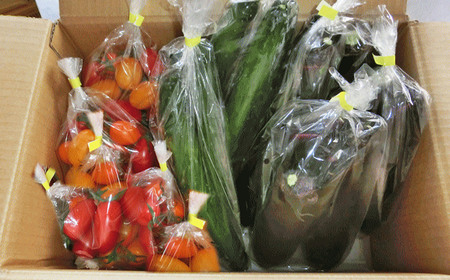 【訳あり】夏野菜セット3品【ミニトマト・なす・きゅうり】【2026年7月下旬～8月下旬発送予定】／ミニトマト トマト フルーツトマト なす きゅうり セット 野菜セット 詰め合わせ 詰合せ 野菜詰め合