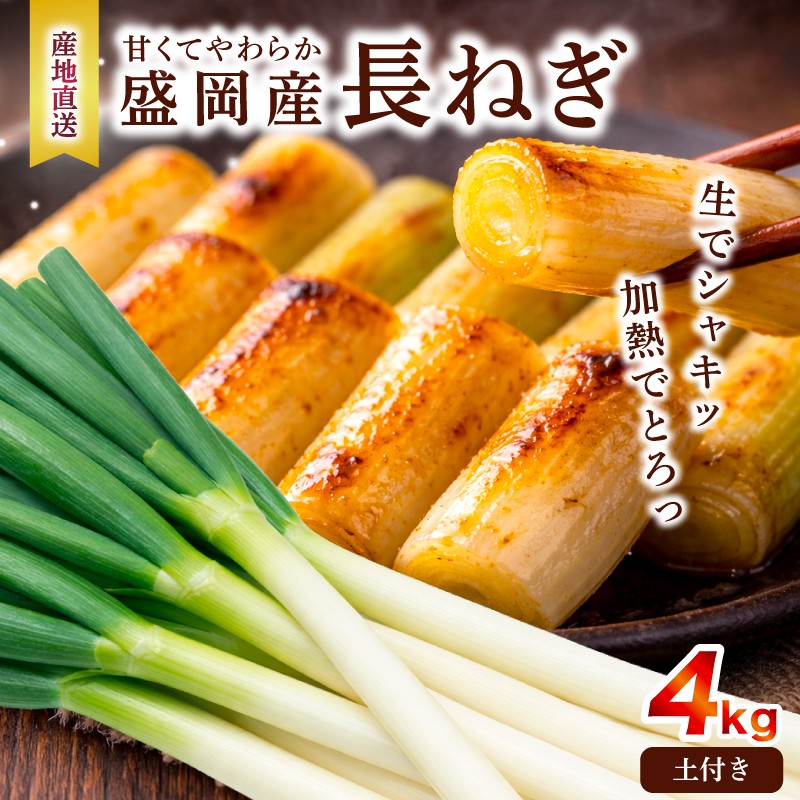 
                  土付き長ネギ 4kg 岩手県盛岡市産 ねぎ 白ネギ 葱 野菜 新鮮 国産 産地直送 農家直送 長持ち 保存 土付きねぎ 土付 白ねぎ ながねぎ 旬の野菜 甘い 美味しい おいしい 鍋 薬味 味噌汁 焼き鳥 炒め物 料理 備蓄 自宅用 産直 厳選 滝澤農園直送 とれたて 岩手県 盛岡市 東北 岩手 盛岡 滝澤農園
                