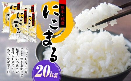【令和7年産】にこまる20kg（5kg×4）お米 白米 熊本県 湯前町