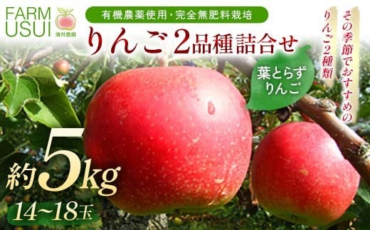 
            有機農薬使用・完全無肥料栽培「りんご2品種詰合せ」葉とらずりんご約5㎏（14～18玉） F7X-0462
          