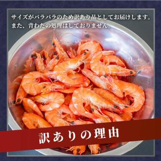 【200セット限定】 訳あり 有頭ボイルバナメイエビ 500g × 3 (約1.5kg) 有頭えび 加熱済 えび エビ 海老 バナメイエビ バナメイ 人気 冷凍 便利 魚介 海鮮 〔010-143〕