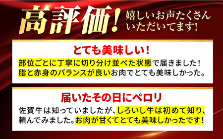 【12回定期便】 焼肉用盛り合わせセット（希少部位）各回840g / 牛肉盛り合せ [IAH048]