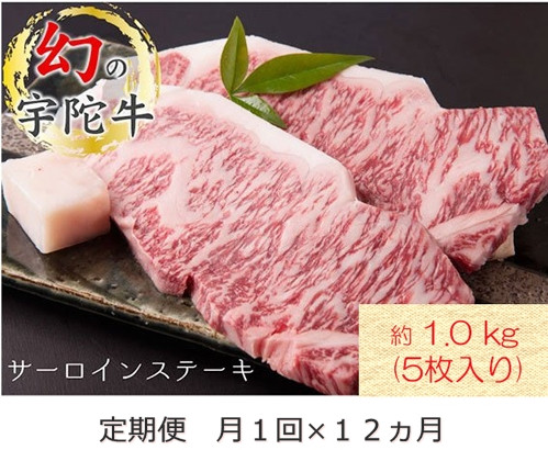 
            【毎月定期便全12回】 名産 認定肉 宇陀牛 国産 黒毛和牛 サーロイン ステーキ 5枚 計1kg / 山繁 ふるさと納税 牛肉 牛丼 しゃぶしゃぶ 人気 寄付 ランキング おすすめ グルメ 肉 返礼品 送料無料
          