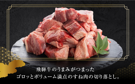 飛騨牛 煮込み用 スネ肉切り落とし 1kg（500g×2）冷蔵 牛肉 ブランド牛 牛 下呂市 GGシェフ 下呂魚介【39-40】