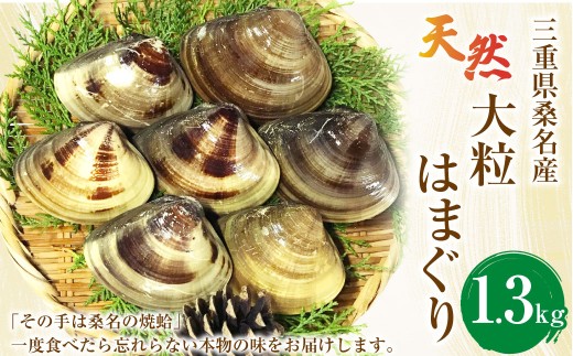 【指定日必須】マルヨシ水産 桑名産大粒天然蛤 1.3kg_はまぐり ハマグリ 魚介 貝 魚貝 活はまぐり 焼きはま 海鮮 網焼き 酒蒸し お吸い物 パエリア パスタ