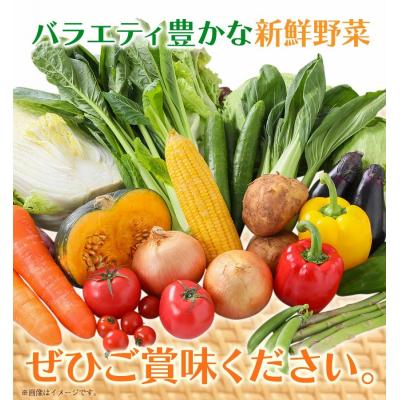 ふるさと納税 矢掛町 【3ヶ月定期便】旬の新鮮野菜詰合わせセット野菜5〜10品目入《お申込み月の翌月から出荷開始》 |  | 03