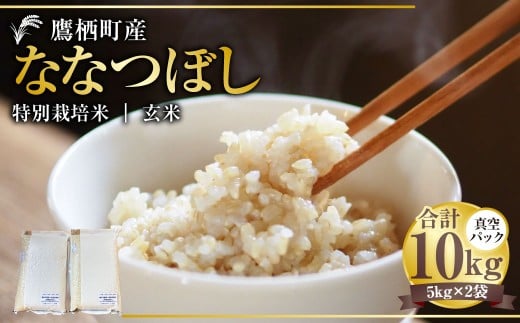 【令和7年産】 ななつぼし （玄米） 真空パック 5kg×2袋 10kg 北海道 鷹栖町 たかすタロファーム 米 コメ こめ ご飯 玄米 お米 ゆめぴりか コメ 玄米