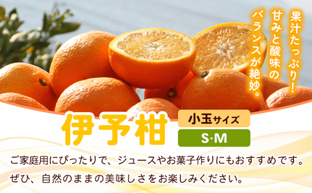 ＜fululy直送 伊予柑 訳あり 約3kg 小玉サイズ（S～M）＞ ワケアリ サイズ混合 小玉 果物 フルーツ 蜜柑 いよかん イヨカン 柑橘 家庭用 合同会社fululy 直送 愛媛県 西予市【常
