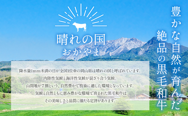 霜降り 赤身 食べ比べ セット 焼肉 1.3kg 数量限定 牛肉 冷凍 黒毛和牛 《30日以内に出荷予定(土日祝除く)》 個別 取分け 小分け 個包装 赤身 霜降り 岡山県 矢掛町 牛 牛肉 和牛 焼