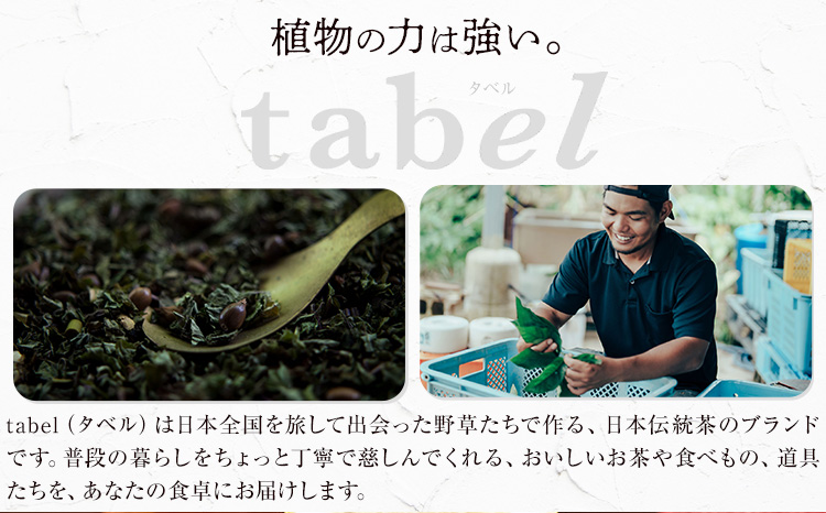太陽のナチュラルコーラ＆満月のエキゾチックジンジャエール 濃縮タイプ 1瓶約７～8杯分 TABEL株式会社《30日以内に出荷予定(土日祝除く)》 │ クラフトコーラ クラフトジンジャーエール 炭酸割り