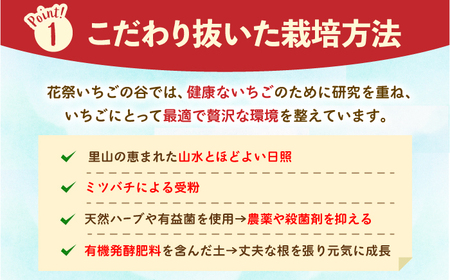 【先行予約】【五感で楽しむ】いちご狩り体験チケット 3枚【花祭いちごの谷】HBN004 いちごいちごいちごいちごいちご