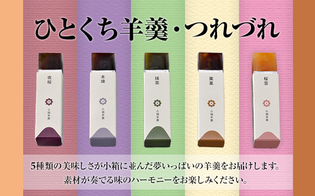 八頭司伝吉 味の散策 小城羊羹 つれづれ（贈答用 20本詰）ようかん 和菓子 贈り物