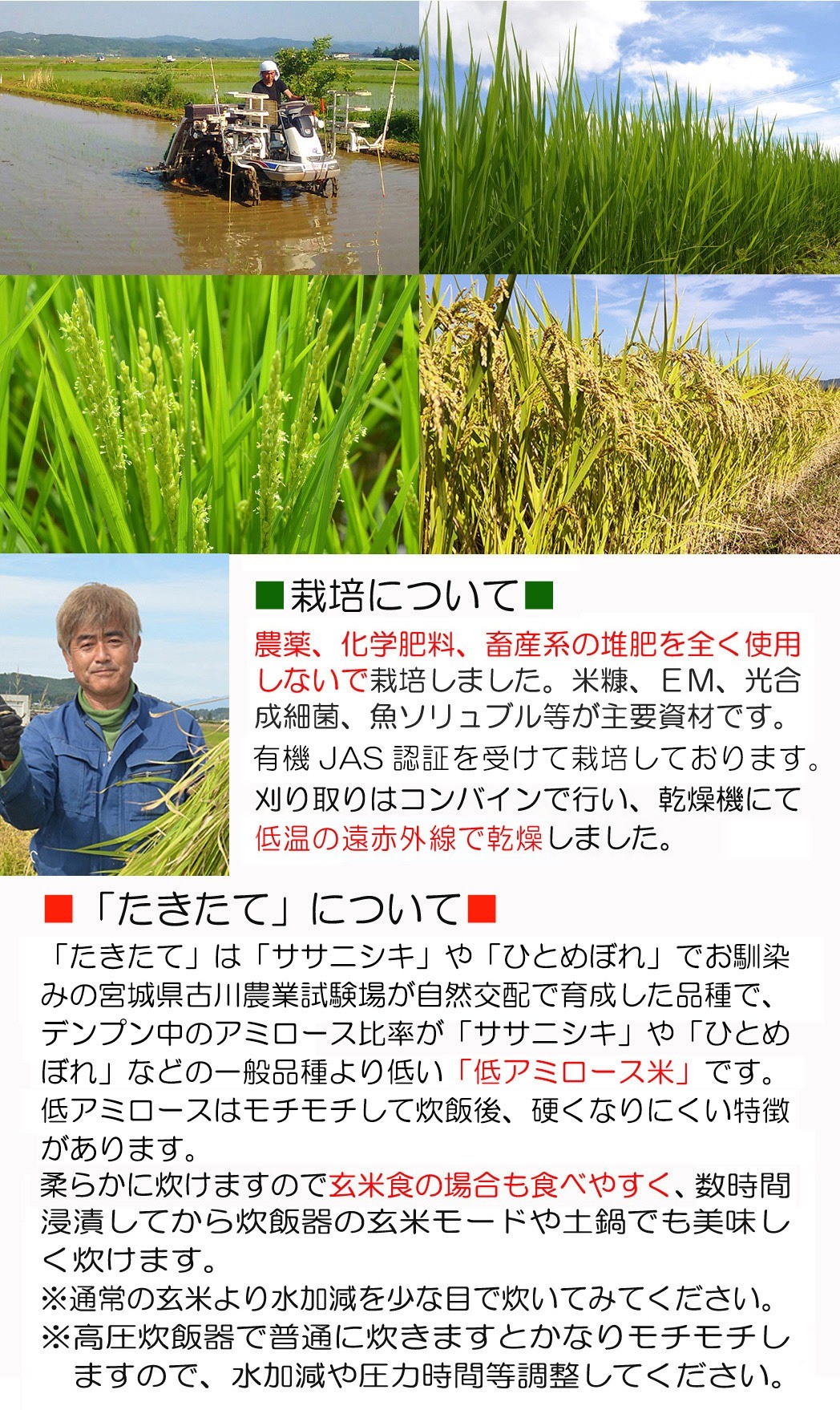 ≪先行予約受付中！≫＜3ヶ月定期便＞【2026年産】たきたて 有機玄米 計15kg(5kg×3回) 低アミロース米 有機JAS認証 米 こめ コメ ご飯 ごはんおにぎり お弁当 宮城米 うるち米 【有