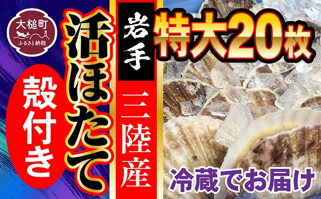 
■ 朝獲れ 三陸 活 ホタテ セット ( 特大 20枚 ) 生食用
